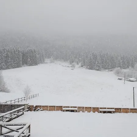 B&B Al Bosco-3